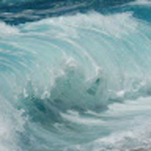 Meet your Posher, Munisa